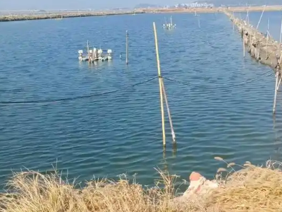 檢測水質