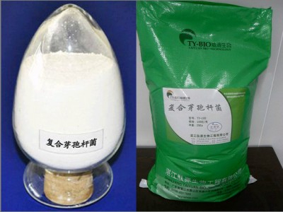 沸石粉配合芽孢桿菌會(huì)有怎樣的效果??？特別是在處理養(yǎng)殖水質(zhì)方面！