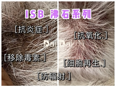 沸石：洗發(fā)水中的神奇添加物